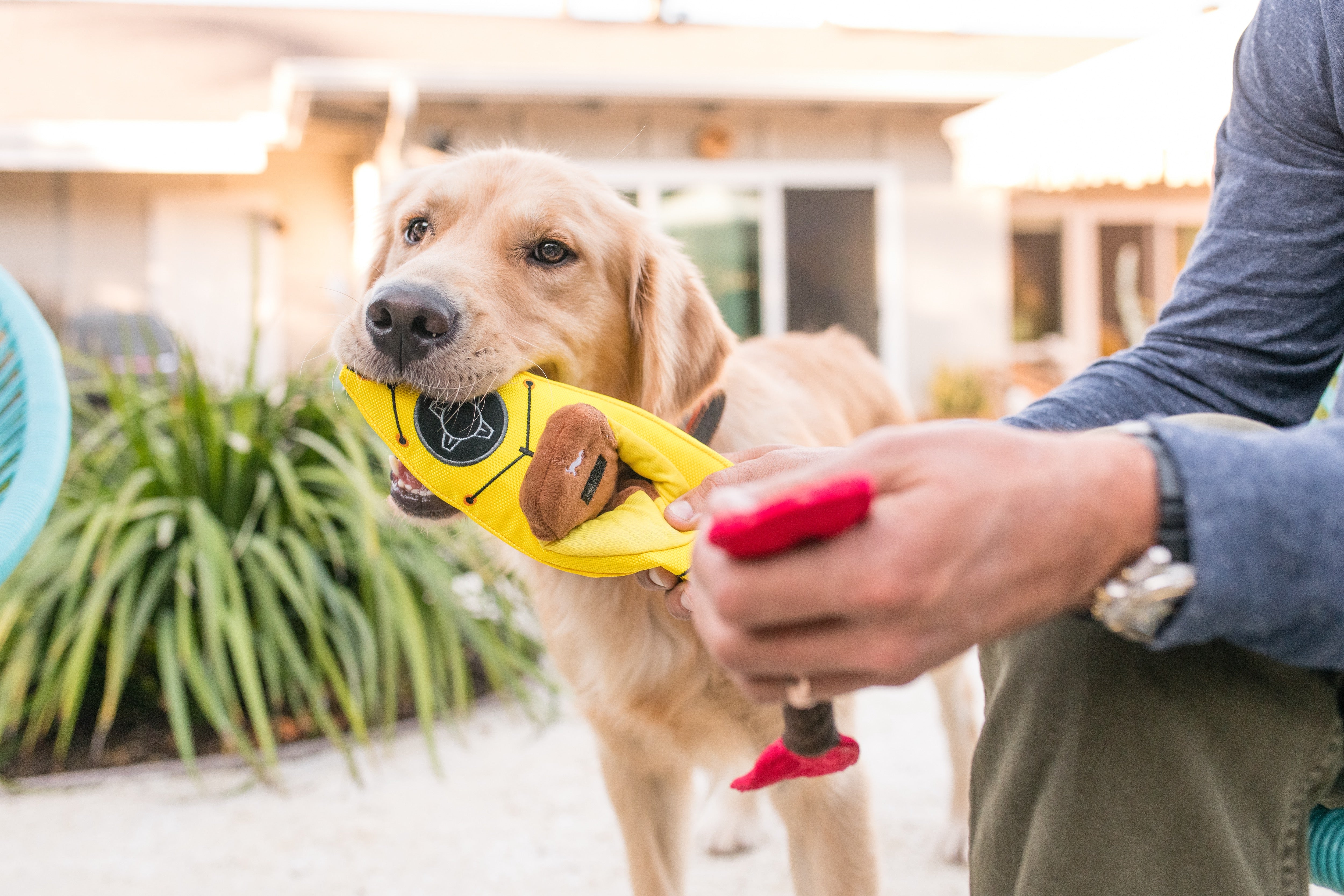 El Kayak Dog Toy - Camp Corbin™ Plush Chew Toy for Dogs | Durable & Soft Pet P.L.A.Y. Dog Chew Toy for Indoor & Outdoor Play, Fetch, and Cuddling