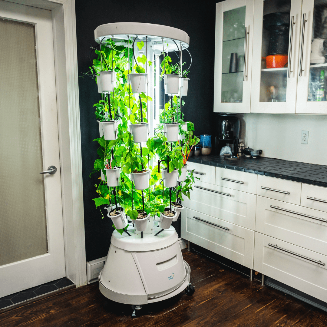 Nutritower Vertical Hydroponic Indoor Garden System - Grow Fresh Herbs, Vegetables & Plants Year-Round - Perfect for Small Spaces, Apartments & Urban Gardening