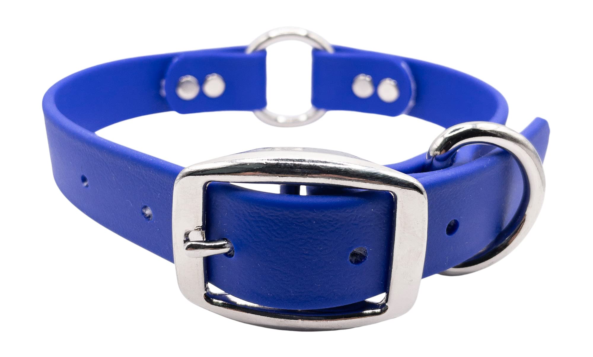 Durable Heavy Duty Dog Collar - Waterproof & Odor Resistant Pet Collar for Small Medium Large Dogs | Salt Lab Supply | Perfect for Outdoor Adventures, Training & Daily Walks