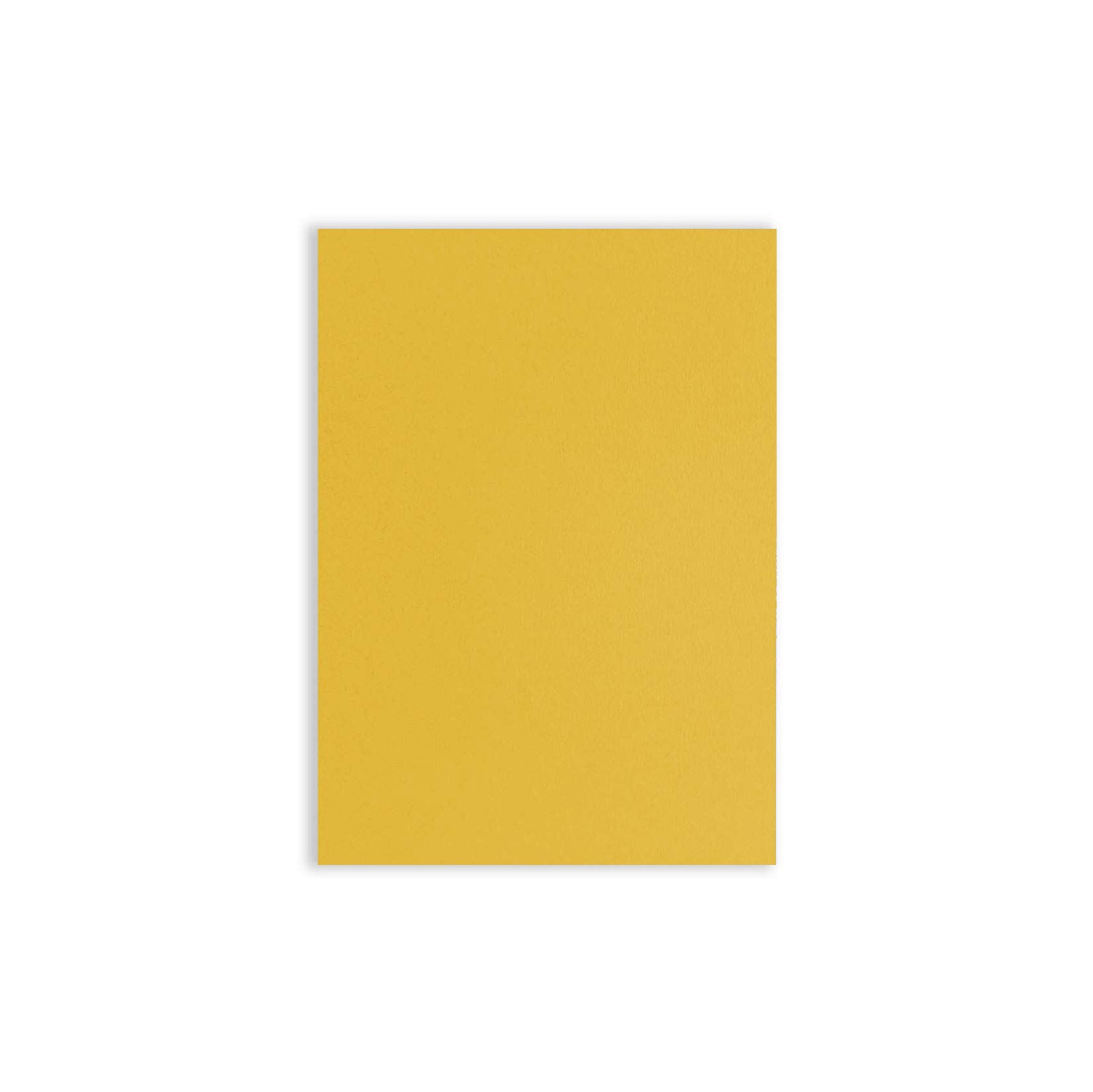 Premium Mustard Yellow 5