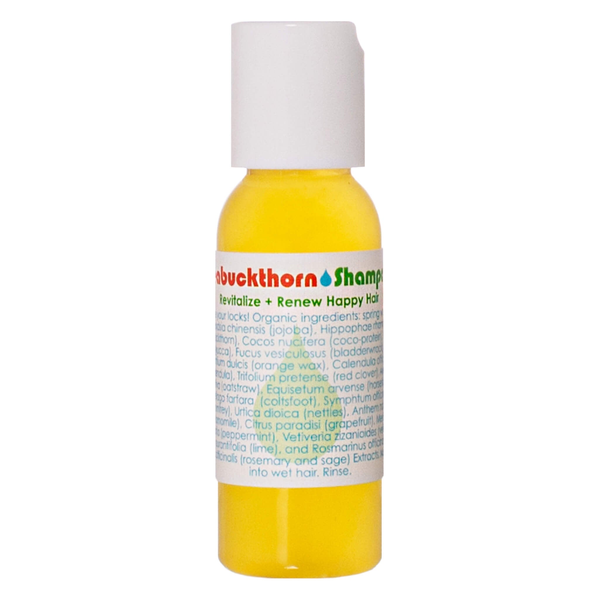 Organic Seabuckthorn Shampoo for Hair Growth & Scalp Care - Natural Volumizing & Moisturizing Shampoo for Dry, Damaged Hair - Perfect for Daily Use at Home & Salon