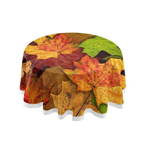 Maple Leaf