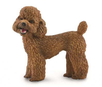 CollectA Realistic Poodle Dog Figurine - Hand-Painted Toy Poodle Model for Collectors, Kids Play & Home Decor | Perfect for Animal Lovers, Educational Play & Shelf Display