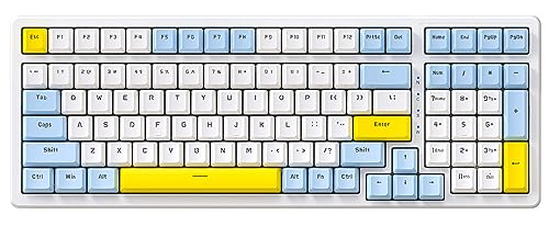 Lemon/Hot-swap Blue Switch