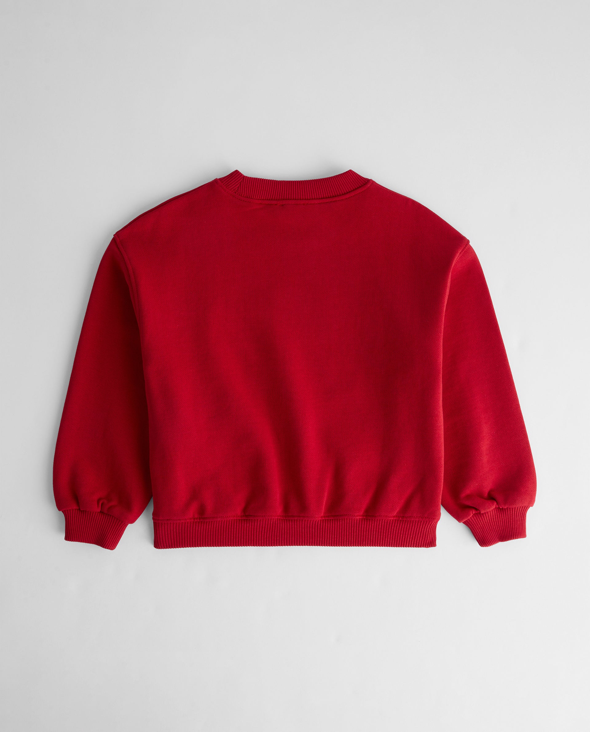 Classic Red Mini ADA Sweatshirt - Cozy Pullover for Women | Perfect for Casual Wear, Gym & Street Style