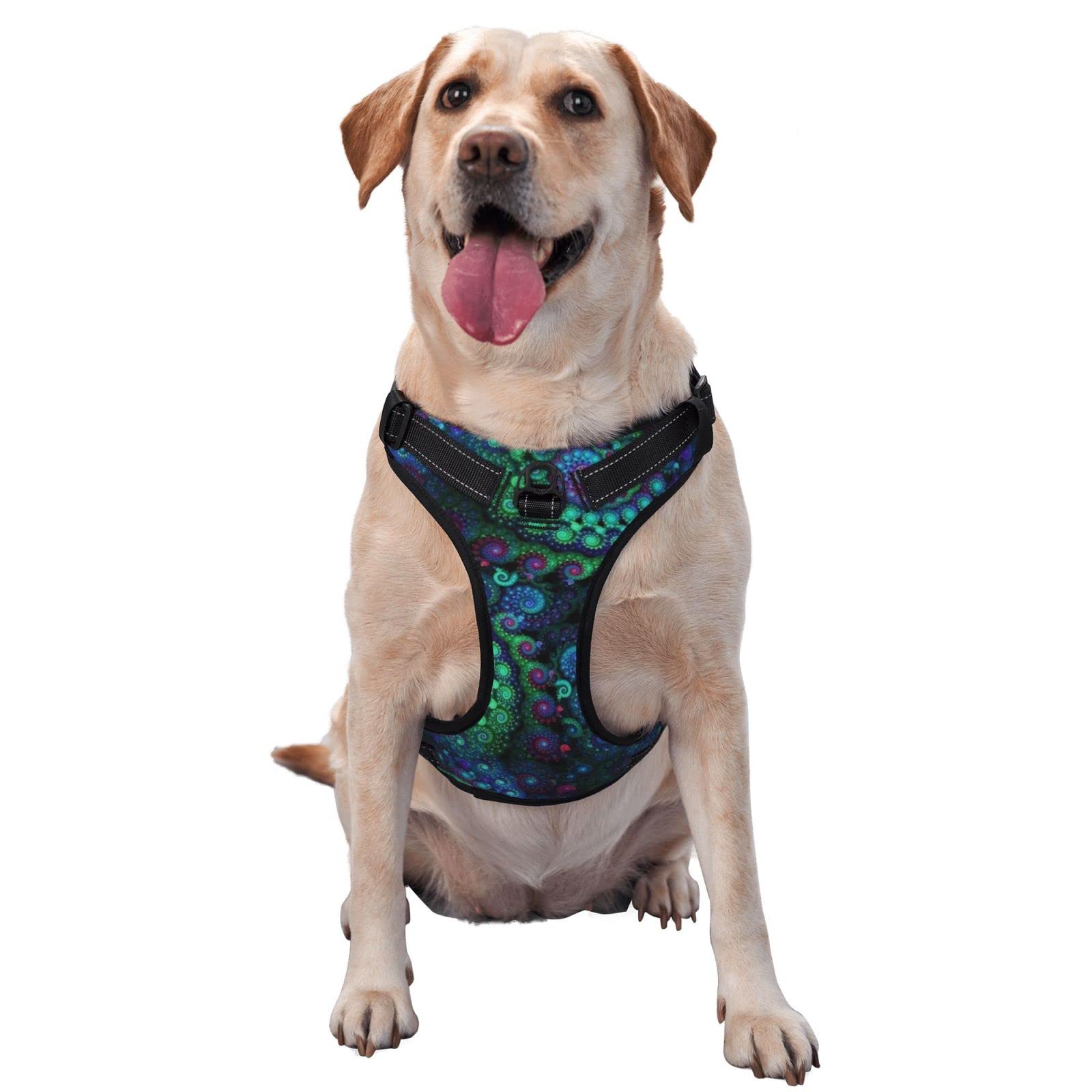 Escape-Proof Adjustable Dog Harness and Leash Set - Soft Vest Harness for Small & Medium Dogs/Puppies, Breathable & Reflective for Easy Control | Perfect for Walking, Training & Outdoor Adventures