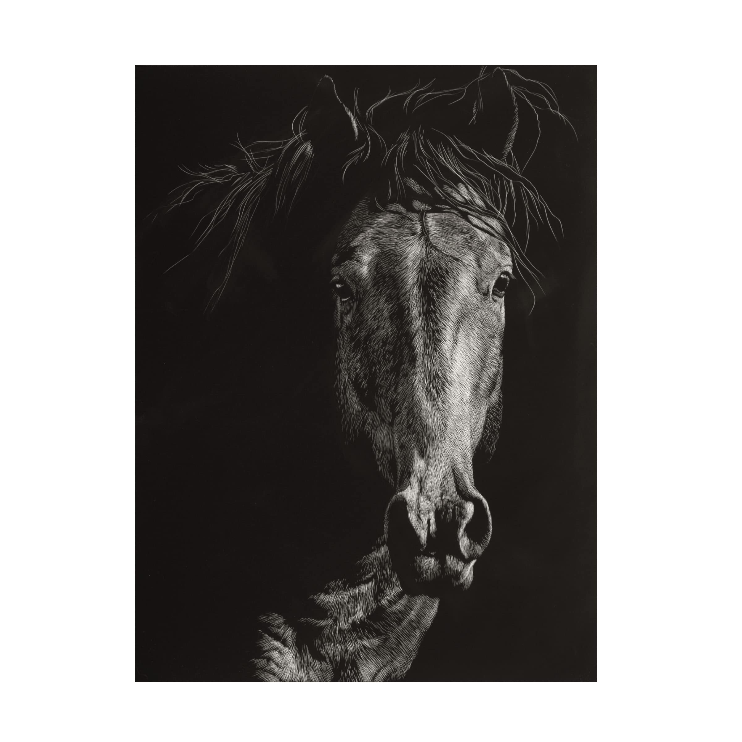 Wild Scratchboard VI Canvas Art by Julie T Chapman - Handmade Wildlife Wall Decor for Living Room, Bedroom & Office - Unique Animal Artwork for Home & Office Decor