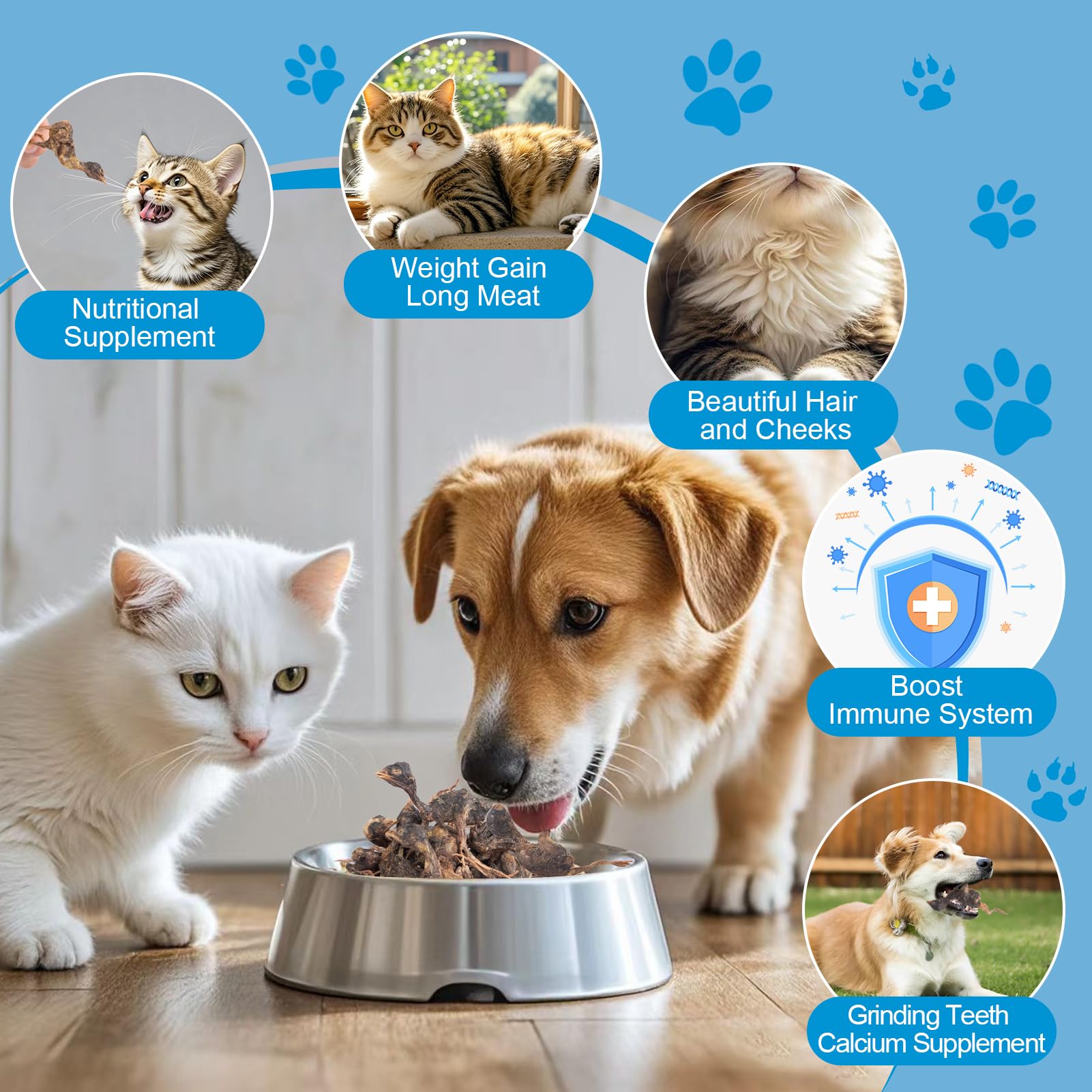 Freeze Dried Little Quail Treats for Cats & Dogs - All-Natural Single Ingredient Protein Snack, Healthy Training Reward (85g) - Perfect for Puppy Training, Senior Pets & Weight Management