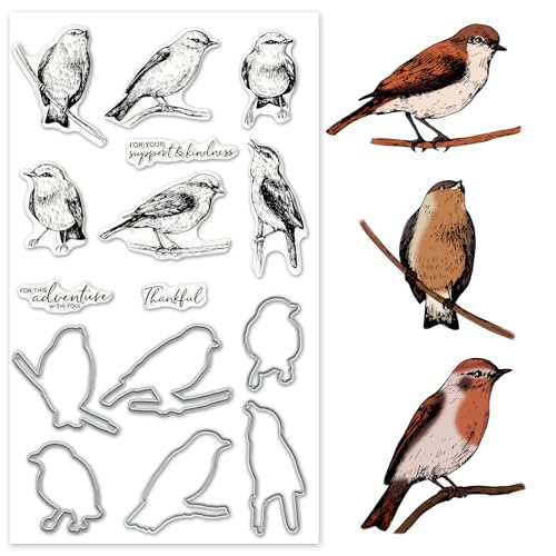 Birds