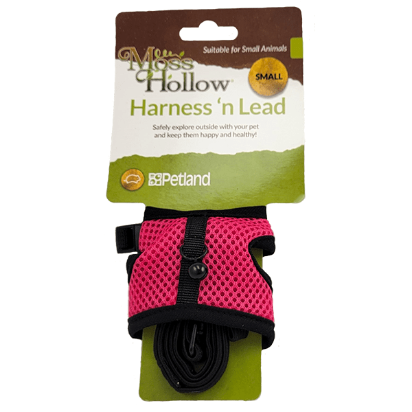 Premium Moss Hollow Dog Harness and Leash Set – Adjustable, Durable & Comfortable for Small to Medium Dogs – Perfect for Walking, Training & Outdoor Adventures
