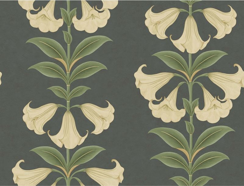 Cole and Son Angels Trumpet Black Botanical Wallpaper - Premium Floral Design for Living Room, Bedroom & Dining Room Decor