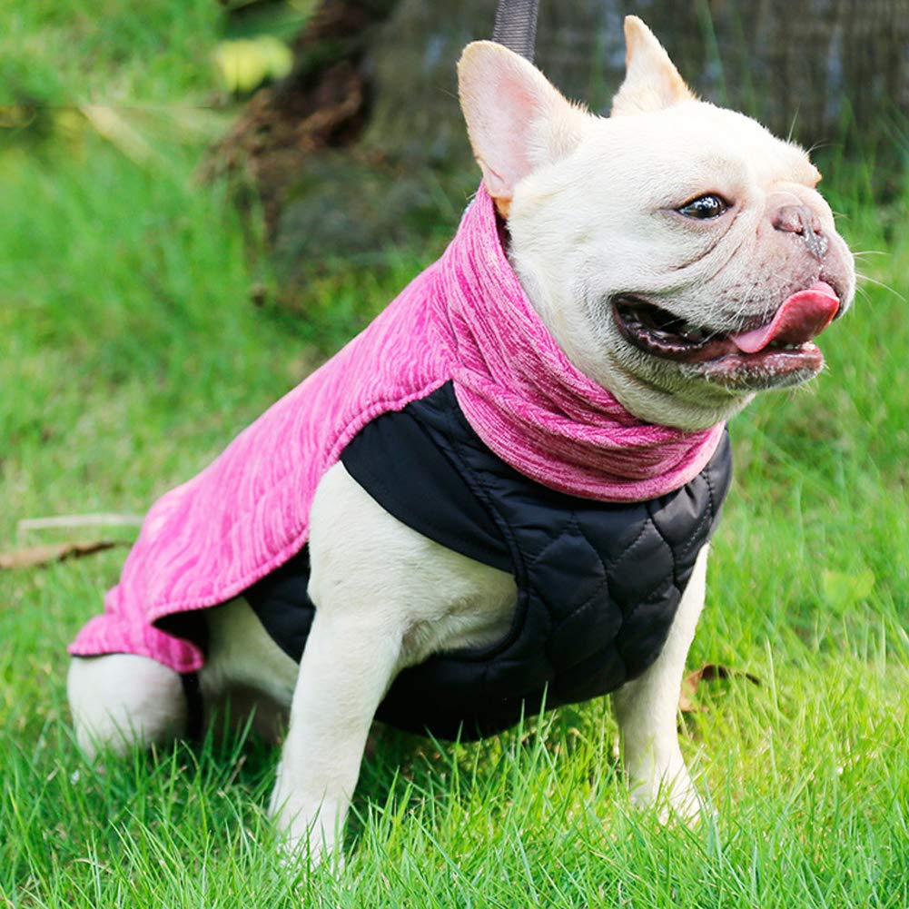 Reversible Dog Coat - Windproof & Warm Winter Dog Jacket for Small, Medium & Large Dogs - Cozy Cold Weather Apparel & Lightweight Safety Vest - Perfect for Outdoor Walks, Hiking & Winter Adventures