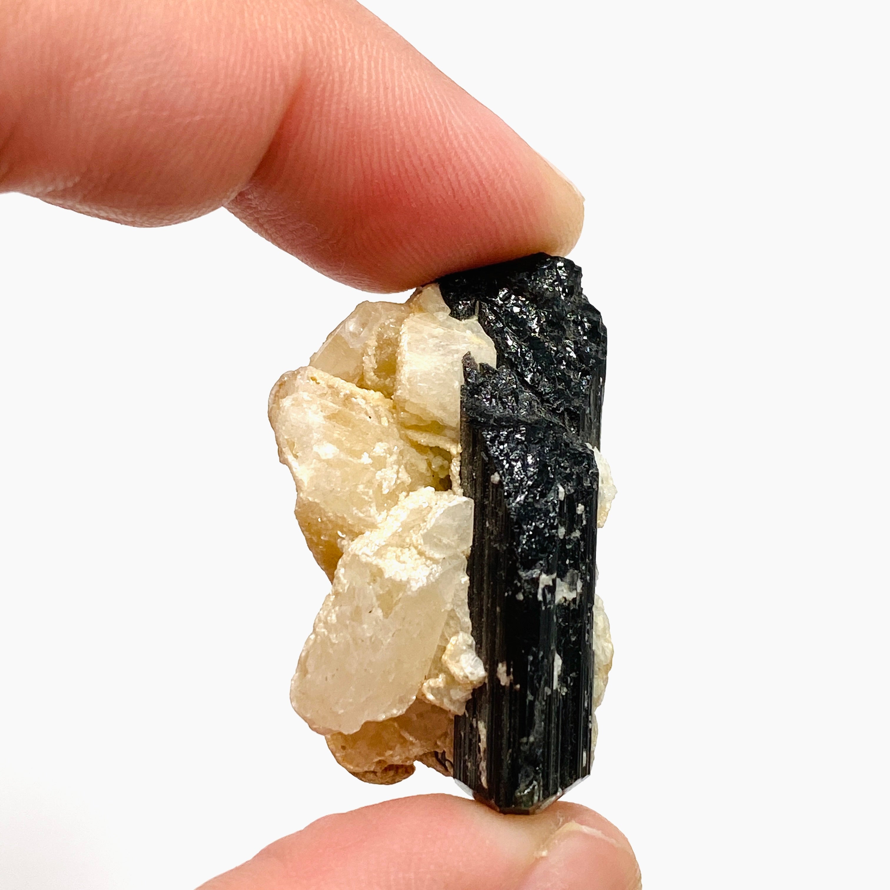 Natural Black Tourmaline Crystal Specimen - BTS 09 Raw Stone for Mineral Collection, Healing & Energy Work - Perfect for Home Decor, Meditation Space & Crystal Healing Practice