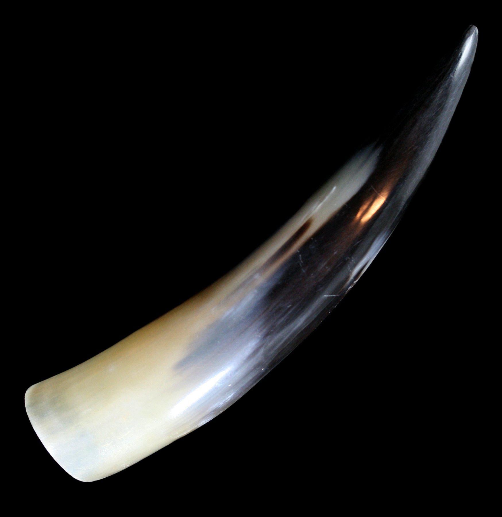 Premium Water Buffalo Horn Chew Toys for Dogs - Natural & Durable Dog Chews for Aggressive Chewers - Perfect for Teething Puppies & Dental Health