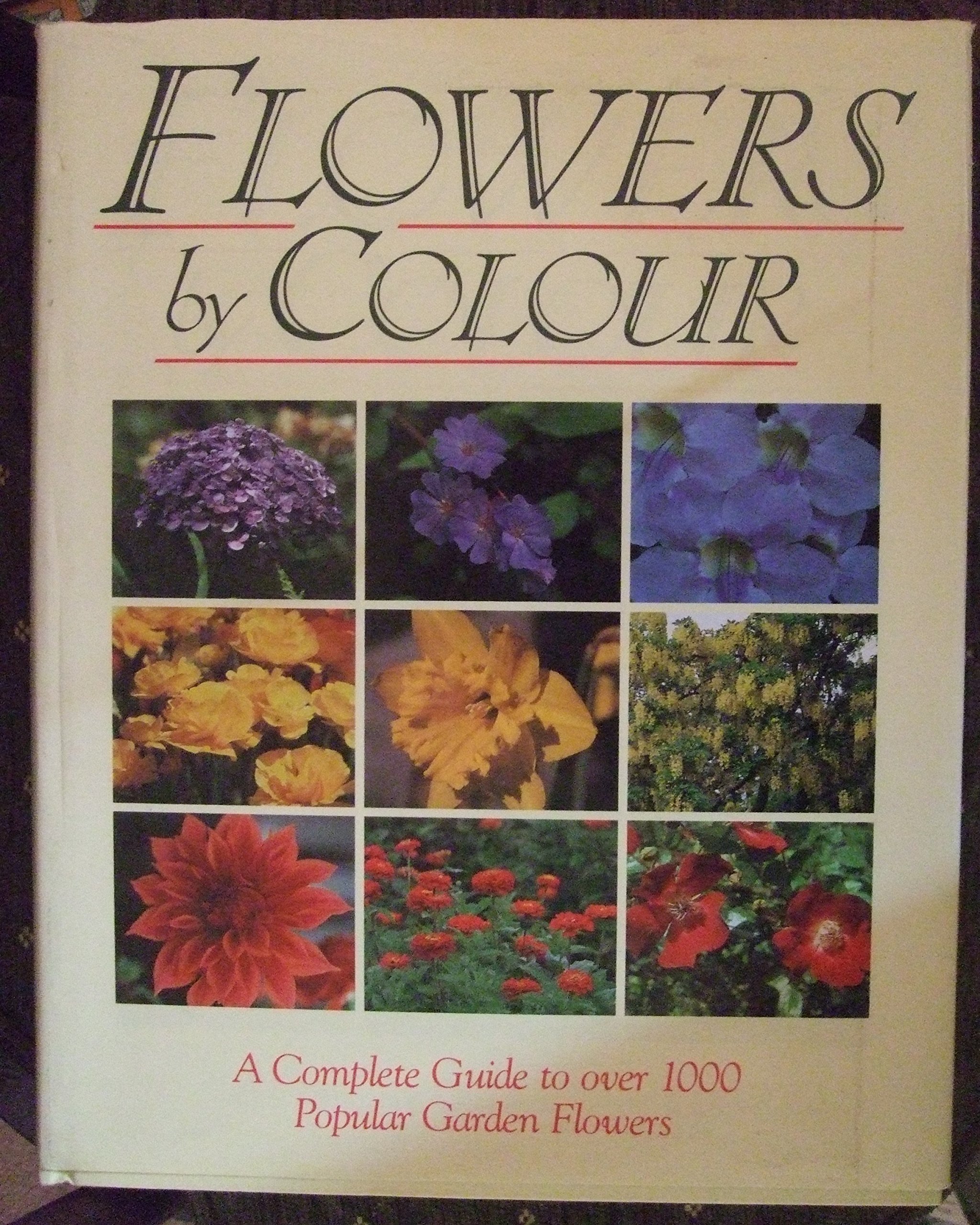 Beautiful Colorful Flowers Bouquet - Fresh Blooms for Home Decor, Wedding, Anniversary & Special Occasions