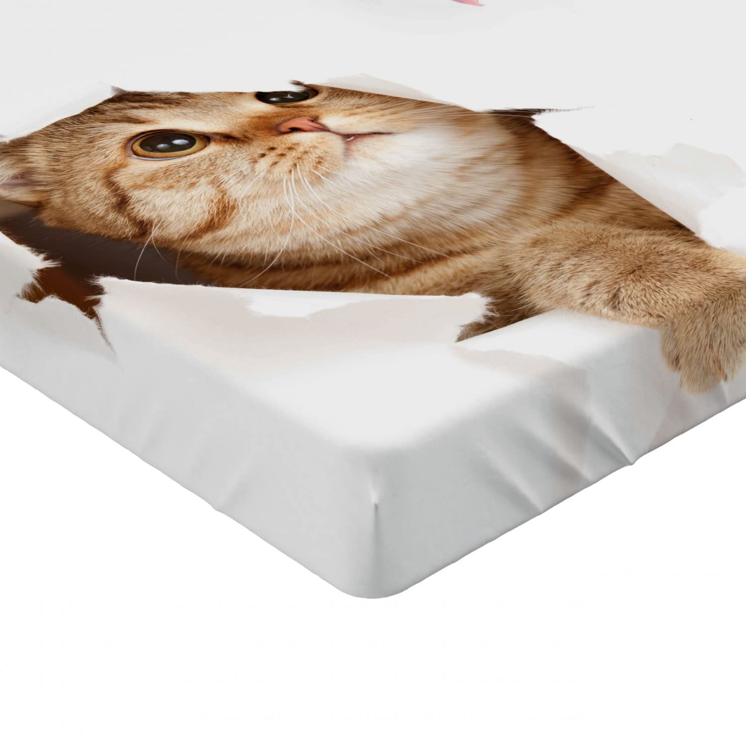 Funny Cat & Dog Print Fitted Sheet - Queen Size for Cozy Bedroom Decor