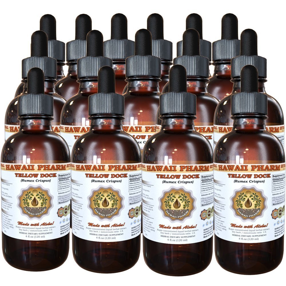 Organic Yellow Dock Liquid Extract (Rumex Crispus) - 4 oz Bottle, 15-Pack | Herbal Tincture for Digestive Support & Detox | Perfect for Tea, Smoothies & Wellness Routines
