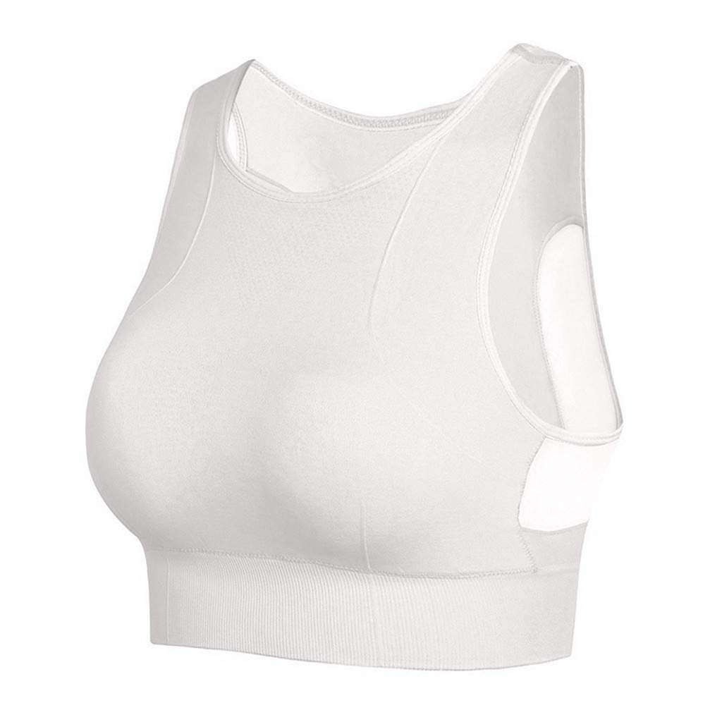 High Support Seamless Padded Sports Bra for Women - Yoga, Running, Workout & Fitness - Breathable Comfort & Maximum Support (White, Large) - Perfect for Gym, Cardio & Active Lifestyle