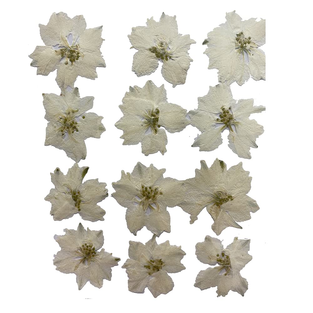 YUNZHI 12pcs Natural White DIY Pressed Delphinium Flowers for Scrapbooking, Candle Making, Resin Jewelry & Home Decor - Perfect for Wedding Invitations, Gift Wrapping and Craft Projects