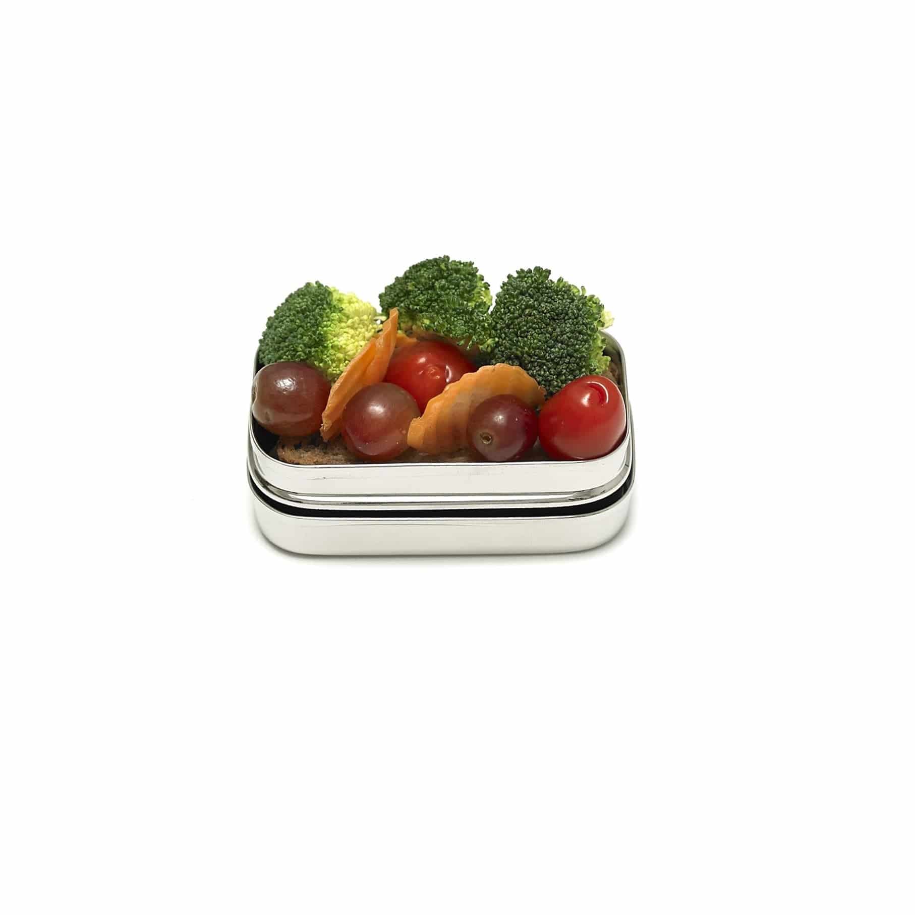 Premium Stainless Steel Snack Box - BPA-Free, Leak-Proof Small Food Container for Kids Lunch, Office Snacks & Outdoor Picnics | Ideal for Meal Prep, Travel & On-the-Go Healthy Eating