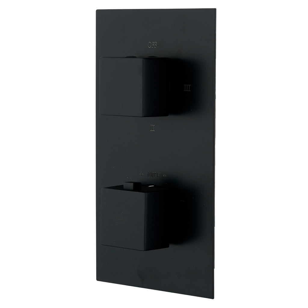 DAX 1054 SQ BL Thermostatic Shower Mixer Valve - 2/3 Function Diverter, Matte Black Finish for Modern Bathroom | Concealed Installation, Temperature Control, Luxury Bath Experience