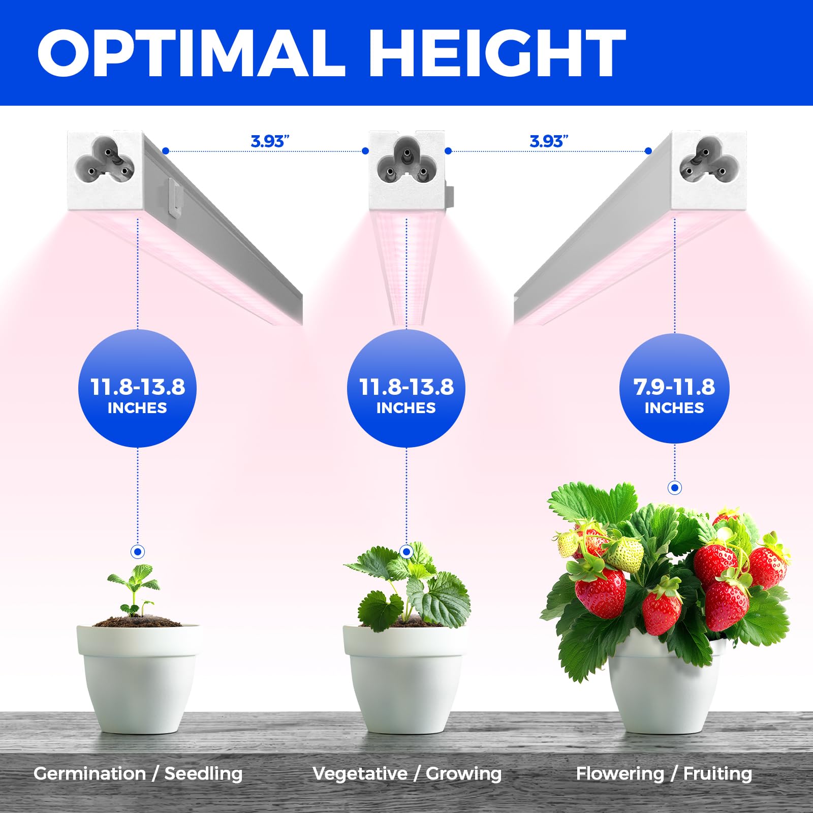 Barrina Full Spectrum LED Grow Lights for Indoor Plants - 1ft T5 Grow Light Strip, Pinkish White, 4-Pack - Perfect for Hydroponics, Seedlings & Home Gardening