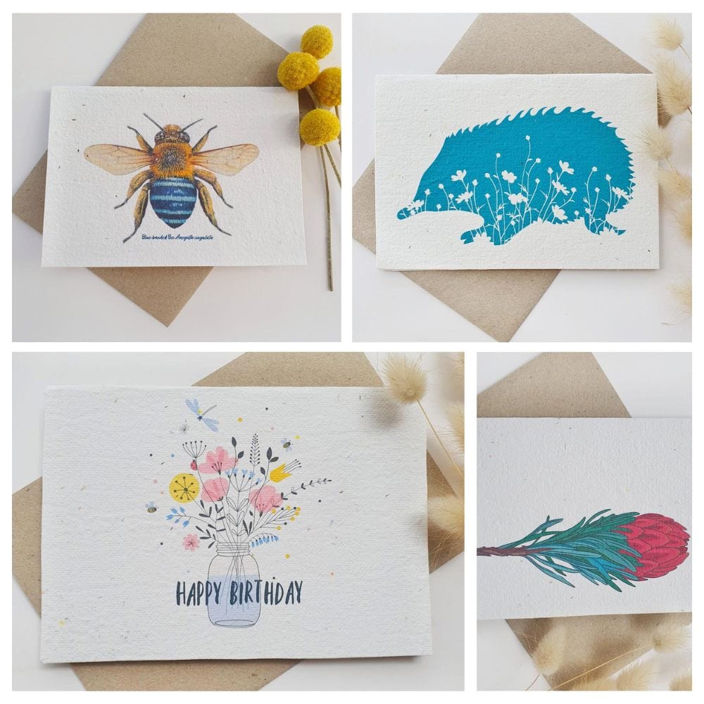 Native Seed Box - Plantable Seed Cards with Swan River Daisy Seeds | Eco-Friendly Gardening Gift for Home & Office | DIY Planting Kit for Indoor & Outdoor Gardens