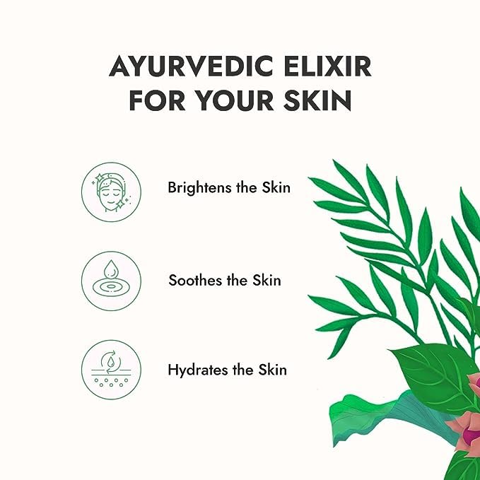 ZOOMIQUE Pure Aloe Vera Skin Gel 250g - Hydrating & Soothing Face & Hair Moisturizer | Natural Multipurpose Gel for Sunburn Relief, Dry Skin Care & Hair Conditioning | Perfect for Daily Skincare Routine & Post-Sun Treatment