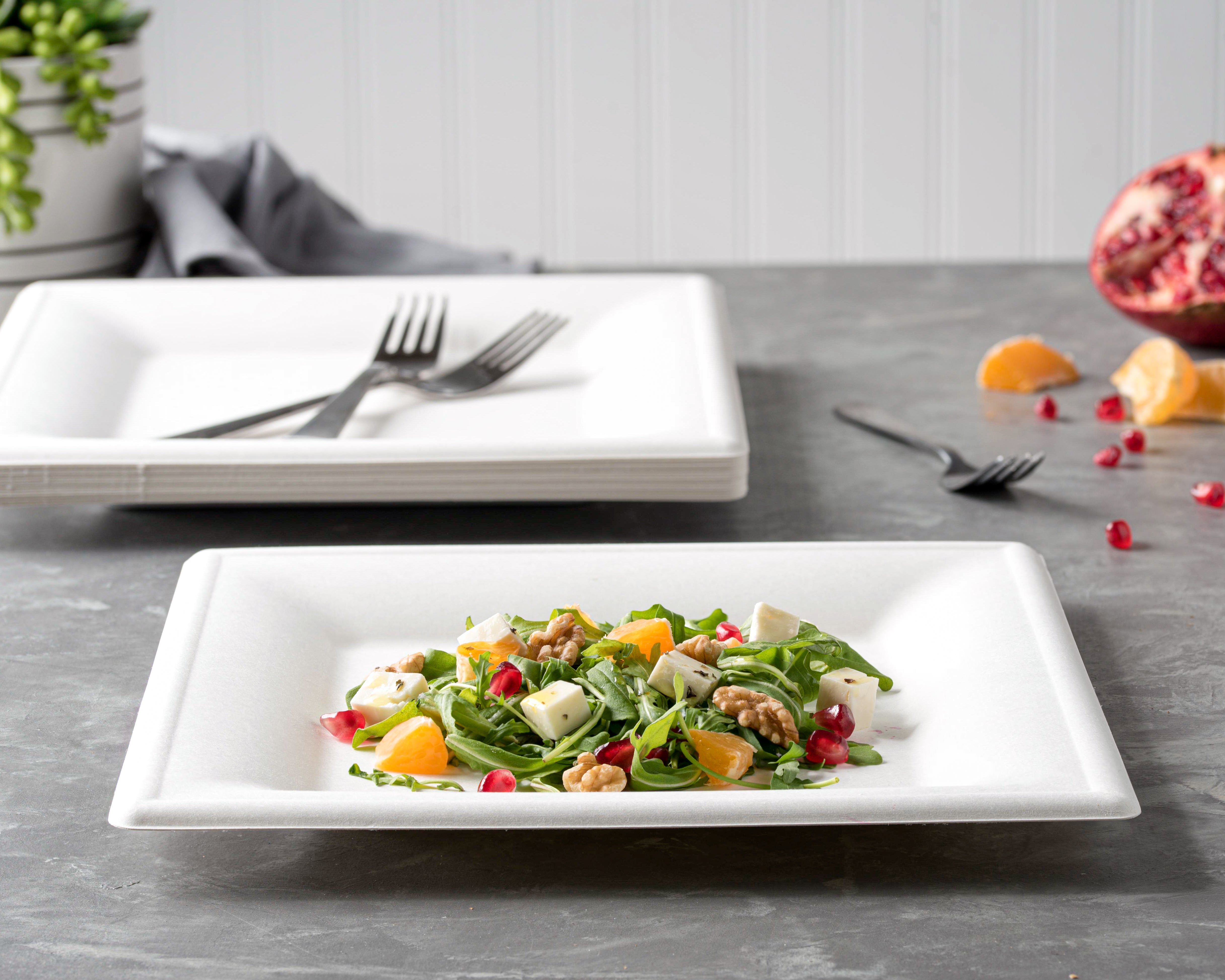 Eco-Friendly 100% Compostable Square Paper Plates - Natural Disposable Sugarcane Bagasse Plates with Green Leaf Design | Perfect for Picnics, Parties & Sustainable Dining