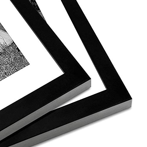 Americanflat 12x16 Picture Frame Set of 2 with Shatter-Resistant Glass - Black Signature Collection - Wall Display Photo Frame for 8x12 with Mat or 12x16 Without Mat - Perfect for Home Decor, Office Art & Gift Giving