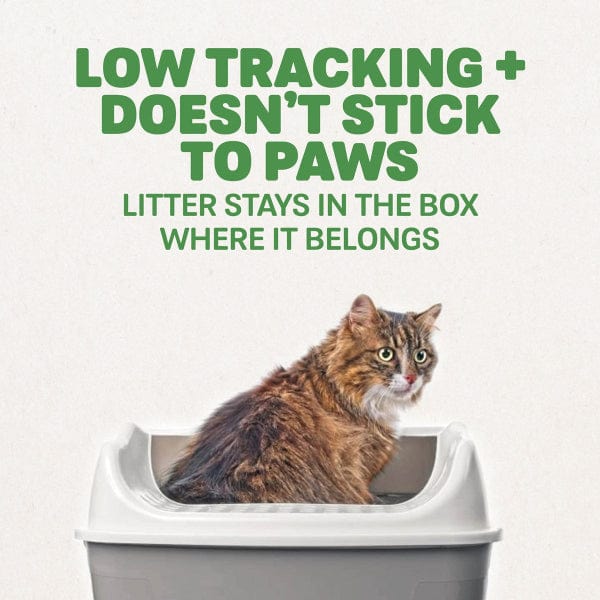 Naturally Fresh Non-Clumping Natural Pellet Cat Litter - Odor Control & Eco-Friendly for Small Pets | Perfect for Indoor & Multi-Cat Homes