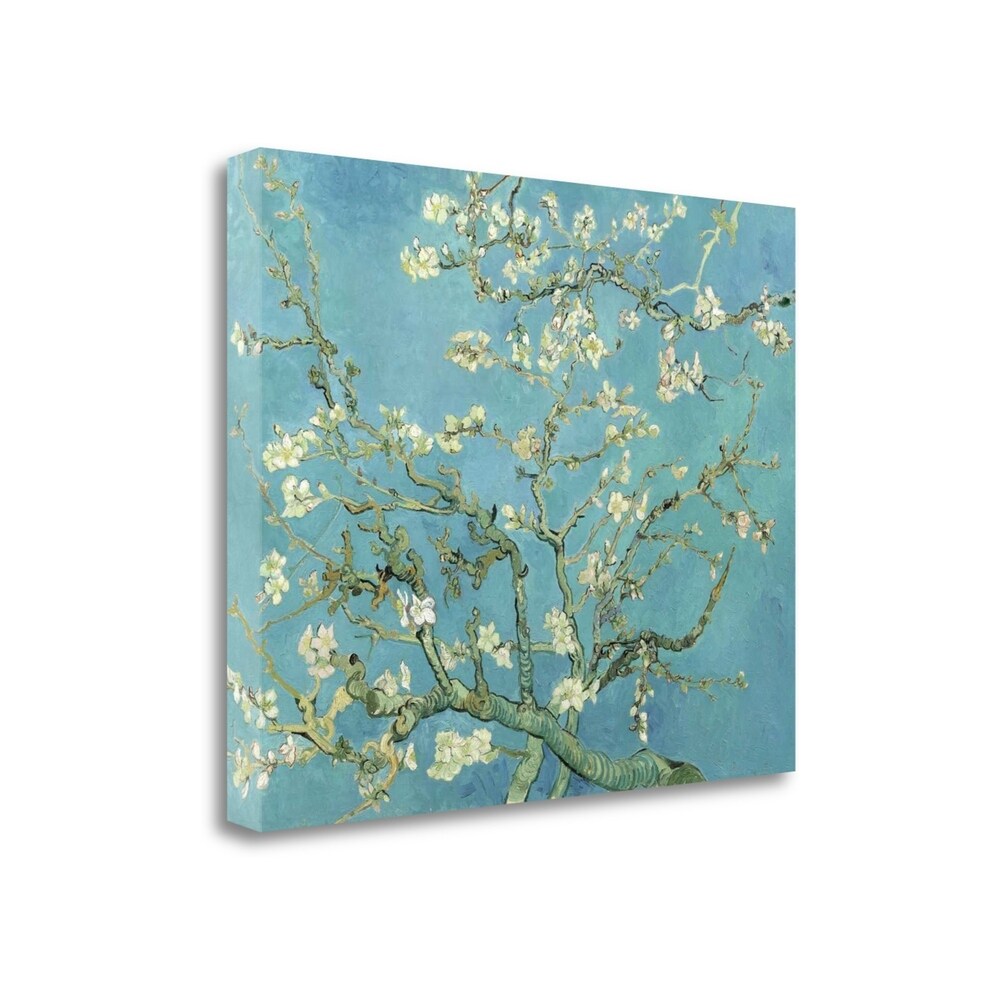 Vincent Van Gogh Almond Blossoms 1890 Giclee Print on Gallery Wrap Canvas - Premium Wall Art for Living Room, Bedroom & Office Decor