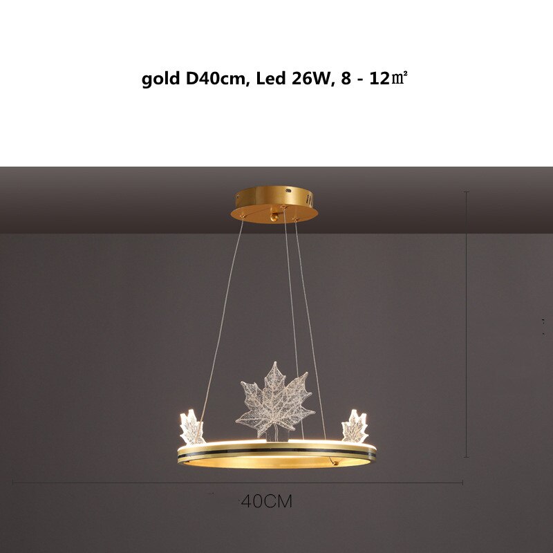 1 ring gold D40cm