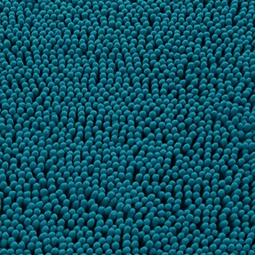 Rustic Turquoise