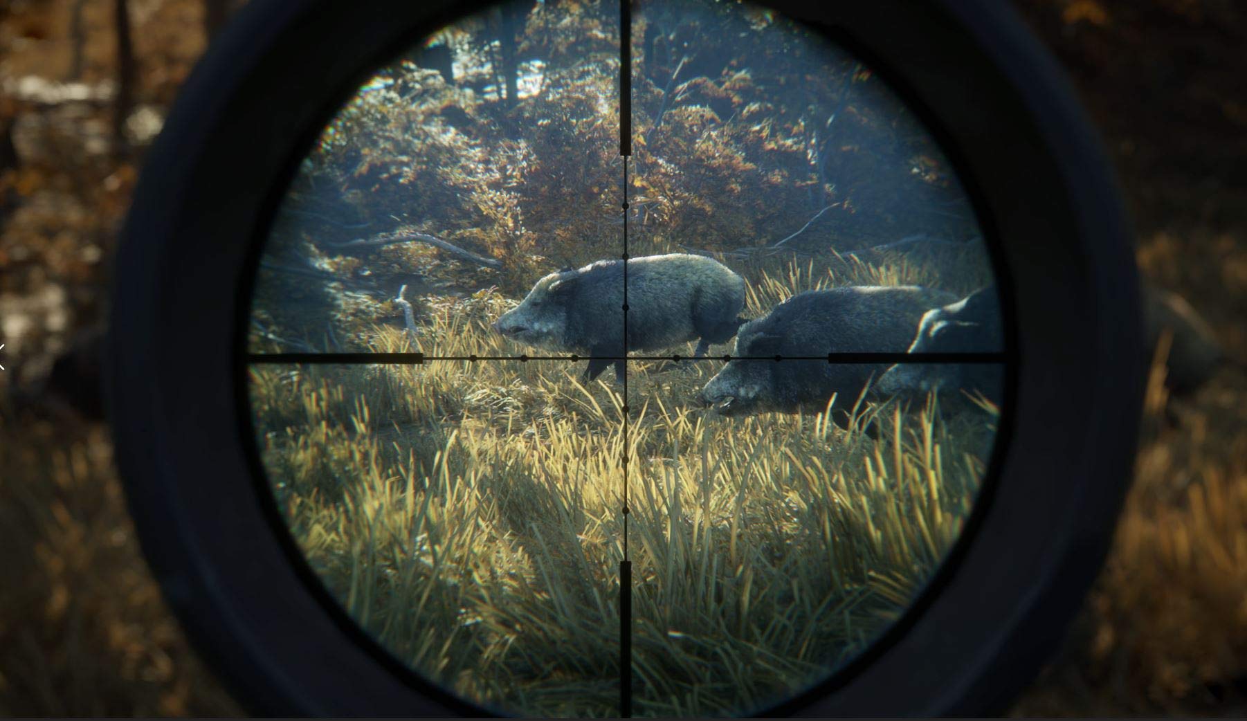 TheHunter: Call of the Wild - 2019 Edition (Renewed) for Xbox One | Open World Hunting Simulation Game | Perfect for Outdoor Enthusiasts & Nature Lovers