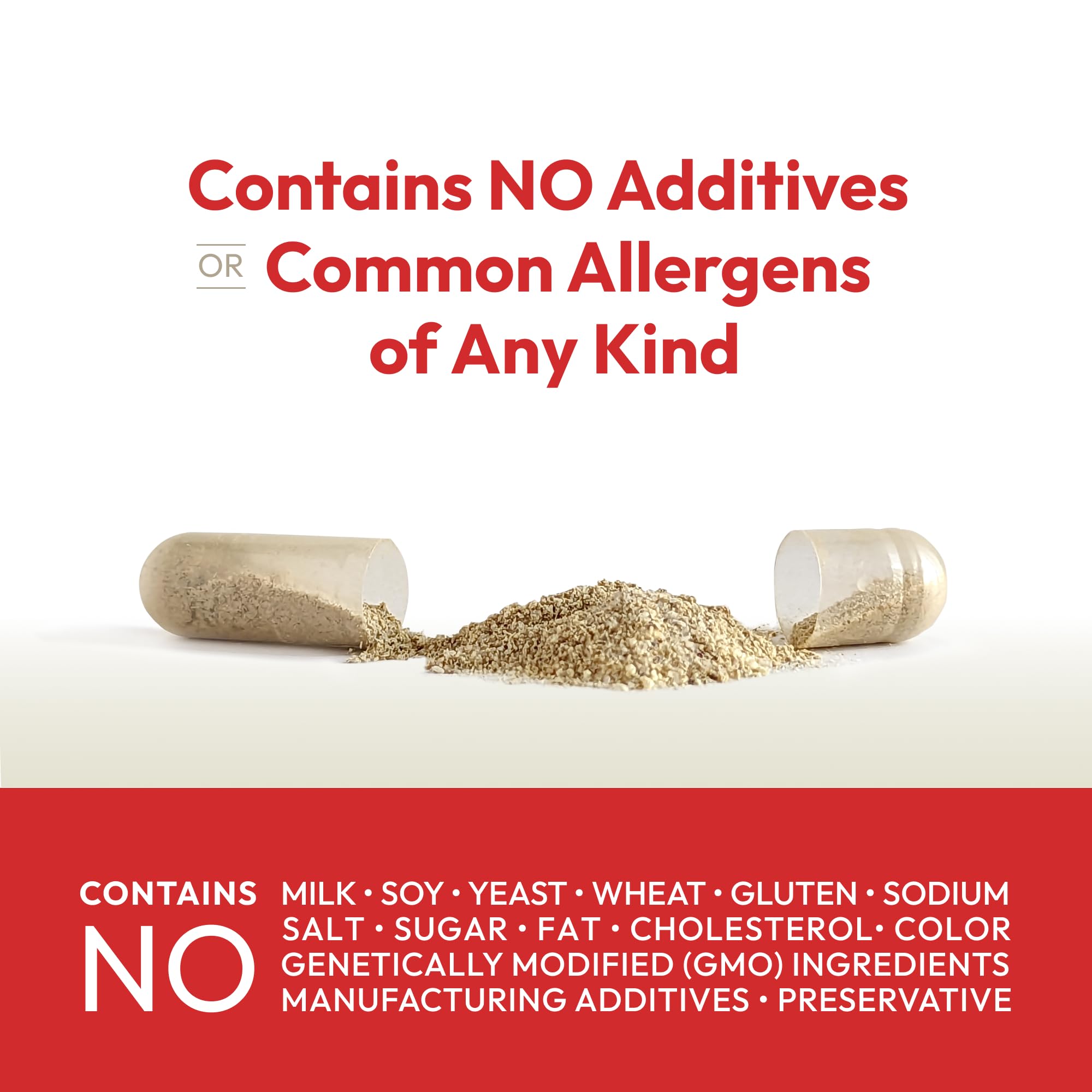 ANDREW LESSMAN Essential-1 Multivitamin with 1000 IU Vitamin D3, 360 Small Capsules - 100mcg Methyl B12, CoQ10, Lutein, Lycopene & Zeaxanthin | High Potency, No Additives, Ultra-Mild | One Daily Capsule for Immune Support & Eye Health | Perfect for Busy Adults & Active Lifestyles