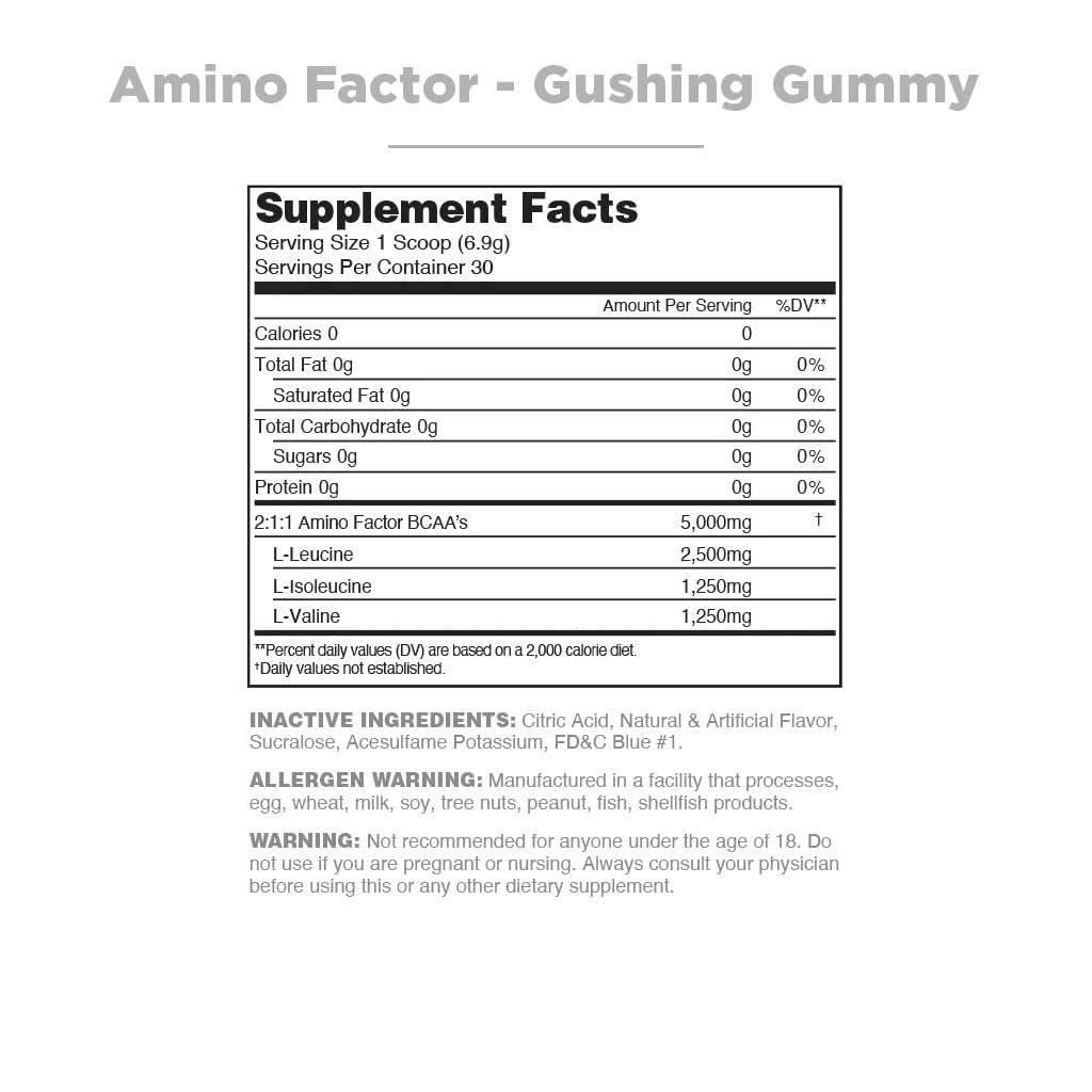 Amino Factor Instantized BCAAs Gummy - Sugar Free Branched Chain Amino Acid Supplement for Workout Recovery (30 Servings) | Improve Muscle Growth, Hydration & Endurance - Perfect for Gym, Running & Fitness Training