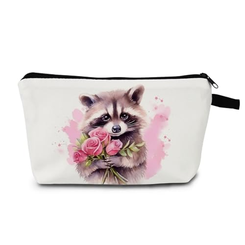 Animal Raccoon 01