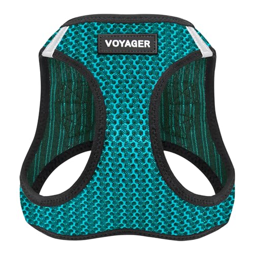 Harness (Turquoise 2-Tone)