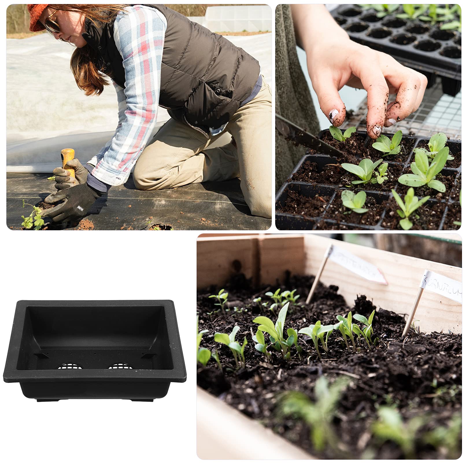 5-Pack Black Plastic Flower Pots for Succulents, Plants & Home Decor - Perfect for Indoor Gardening, Office Desk & Balcony Decor