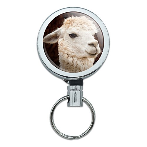 Llama White
