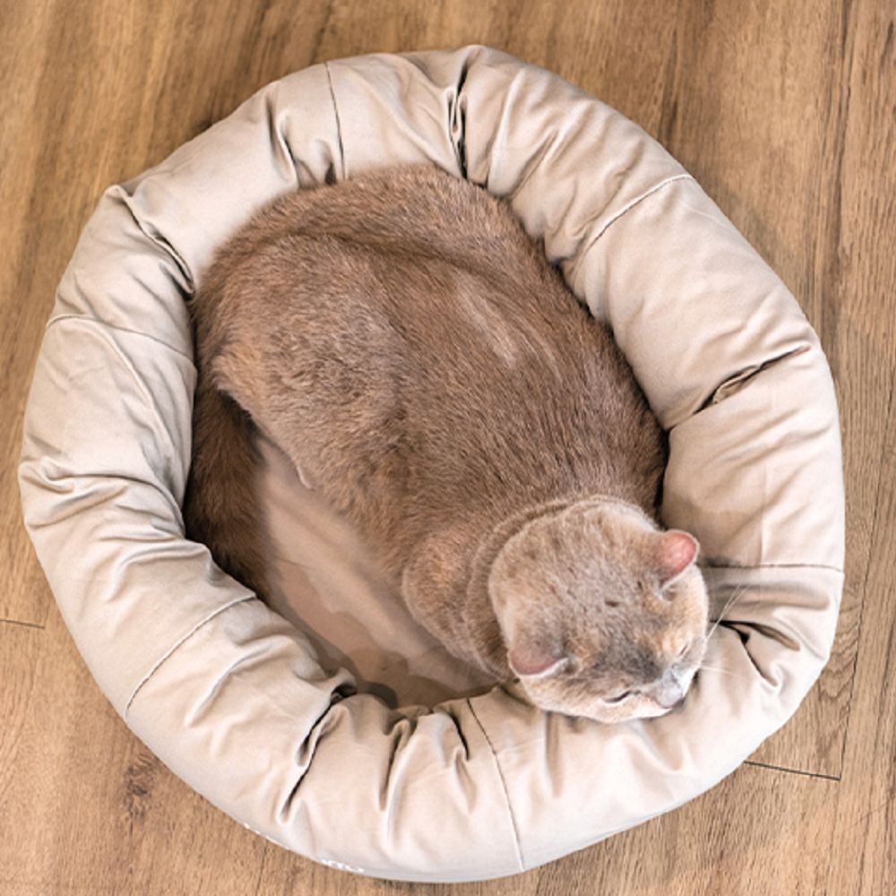 Premium Donut Latex Pet Bed - Ultra Soft & Comfortable Dog & Cat Bed for Small to Medium Pets - Perfect for Cuddling, Napping & Relaxing at Home or Travel