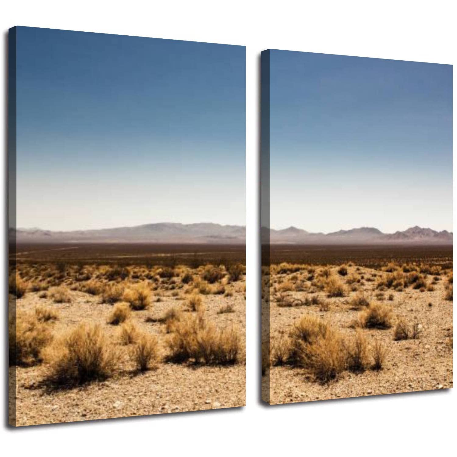 2 Panel Modern Canvas Wall Art - Deserted Death Valley Desert Landscape - Large 24