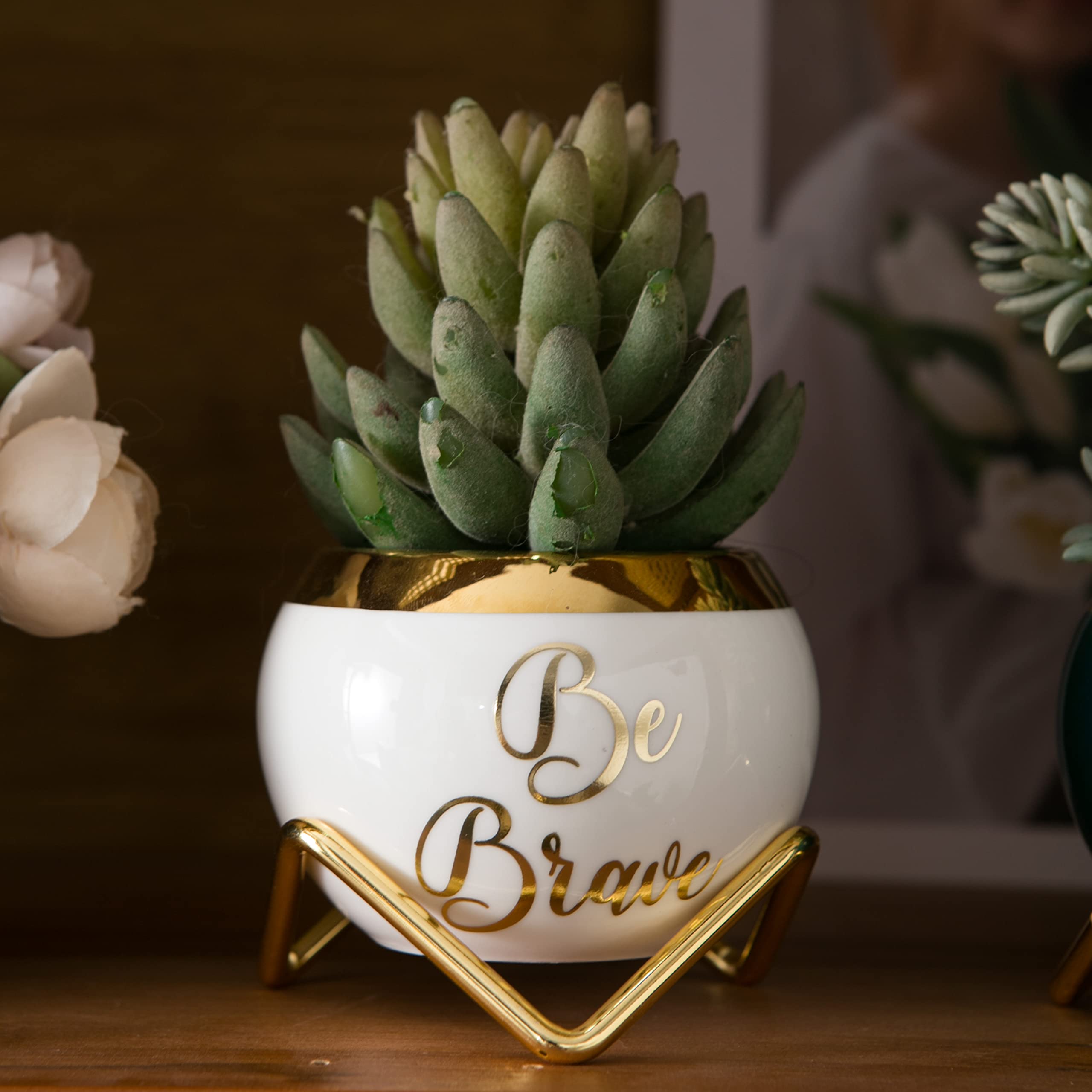 PeraBella Inspirational Gifts for Women - Spiritual Elephant Succulent Planter Set of 3 | Thoughtful Present for Female Friends, Valentine's Day, Wife | Perfect for Home Decor, Office Desk & Meditation Space