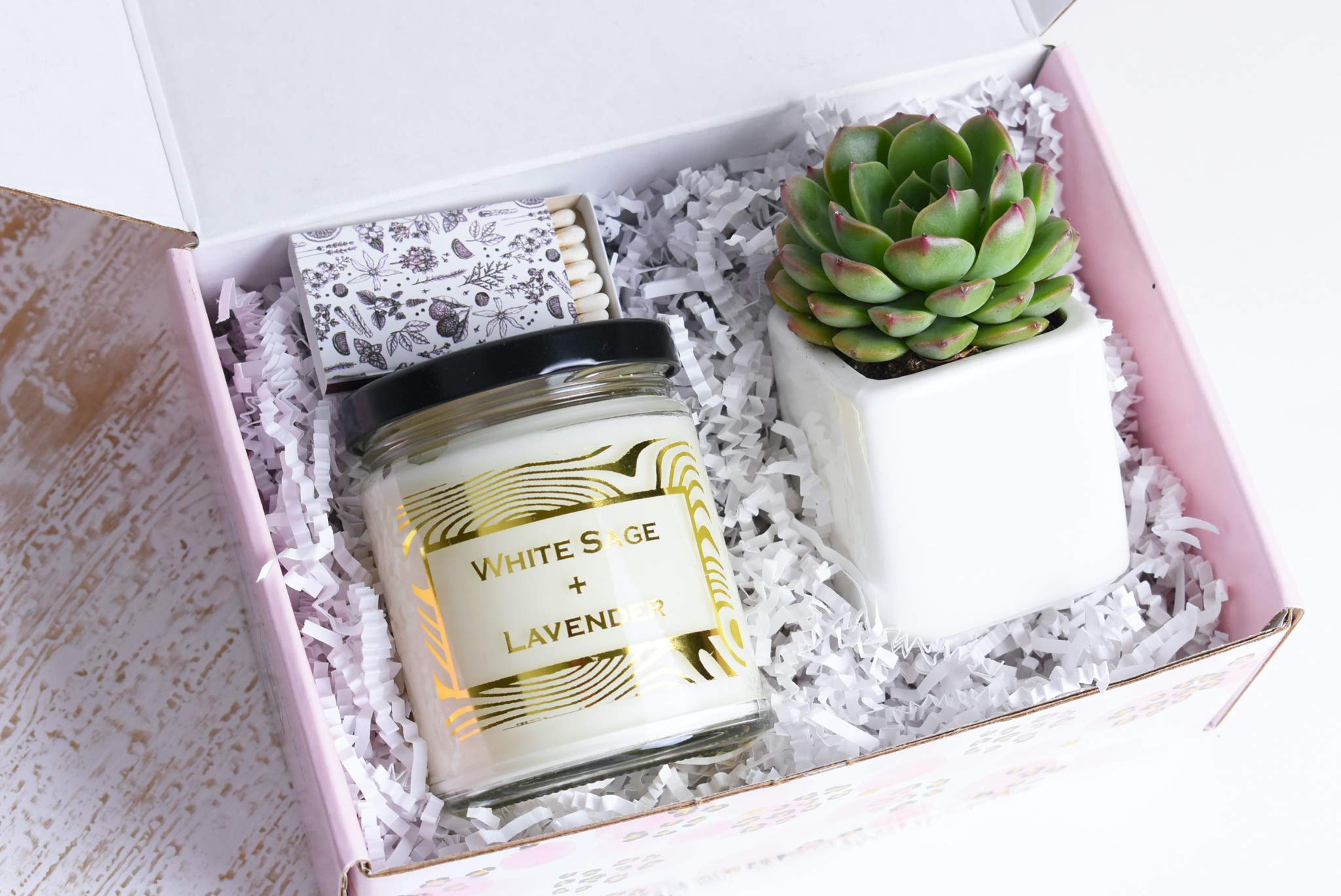 Thank You Succulent Gift Box - Live Succulent Plants Care Package - Appreciation Gift for Coworkers, Friends & Family - Unique Office & Home Decor Plant Gift - Perfect for Birthdays, Housewarming & Thank You Gifts