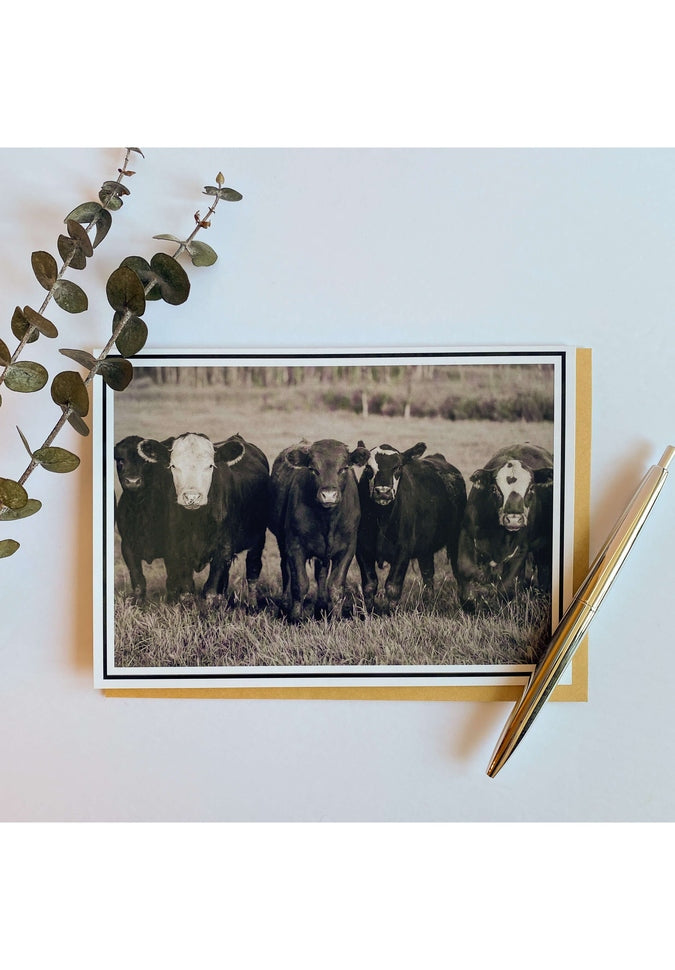 From My Angle Photography Notecards - Beautiful Photo Greeting Cards for Thank You Notes, Invitations & Special Occasions - Perfect for Birthdays, Weddings & Holidays