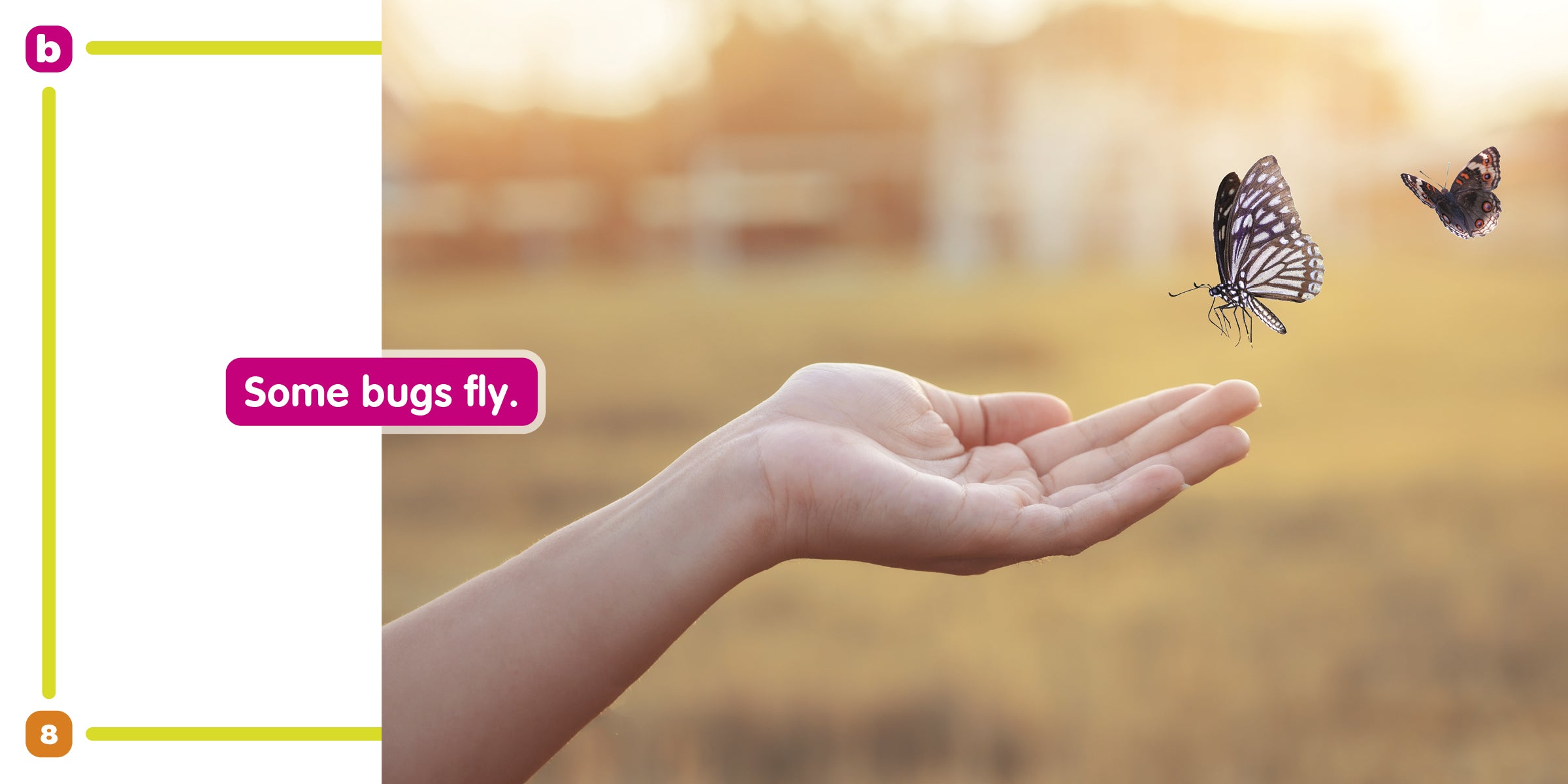 I Like Bugs: The Sound of B - Fun Phonics Learning Book for Kids, Perfect for Early Reading & Classroom Activities
