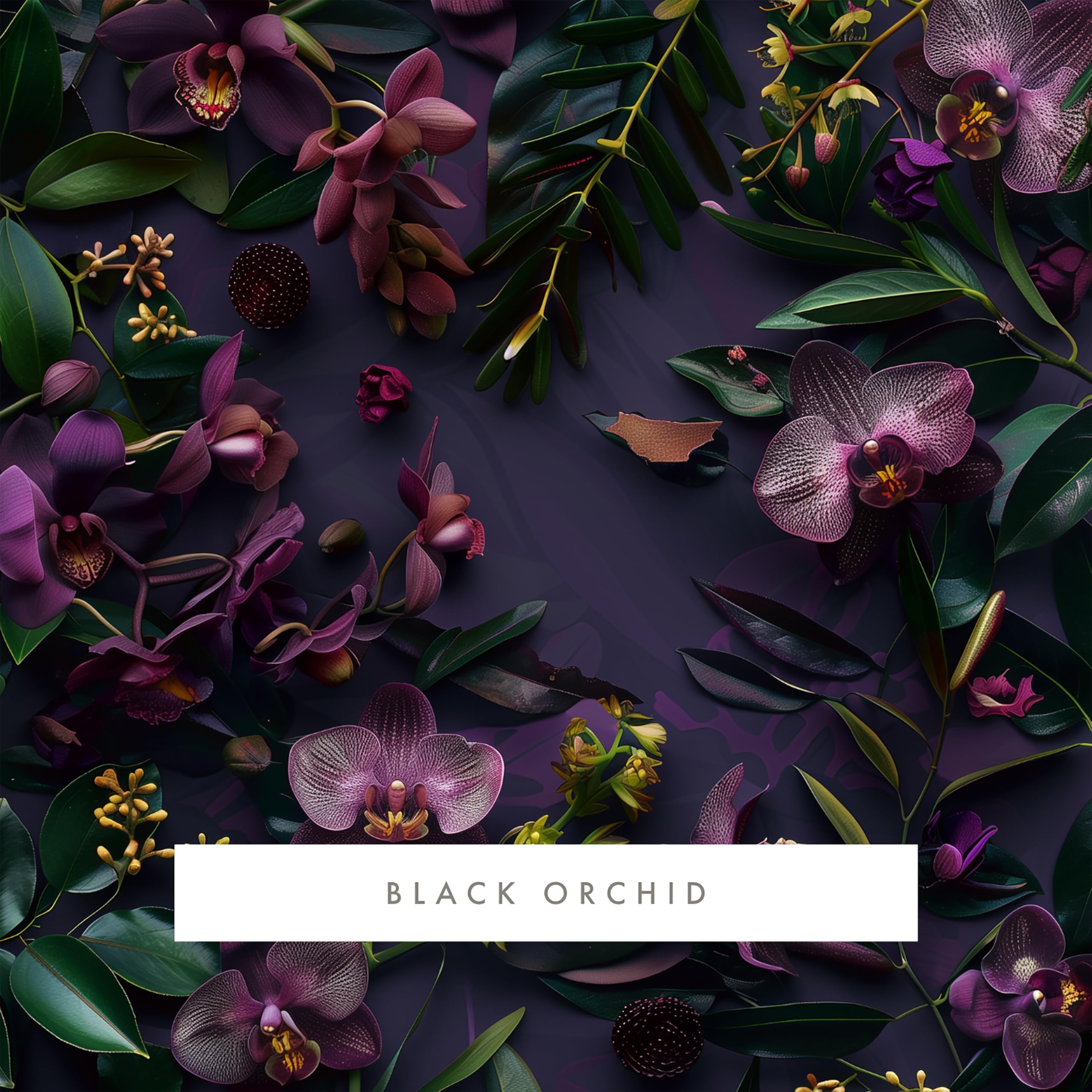 Whisper Home Black Orchid Scented Fragrance Cartridge - Monthly Refill for Home Aromatherapy & Relaxation