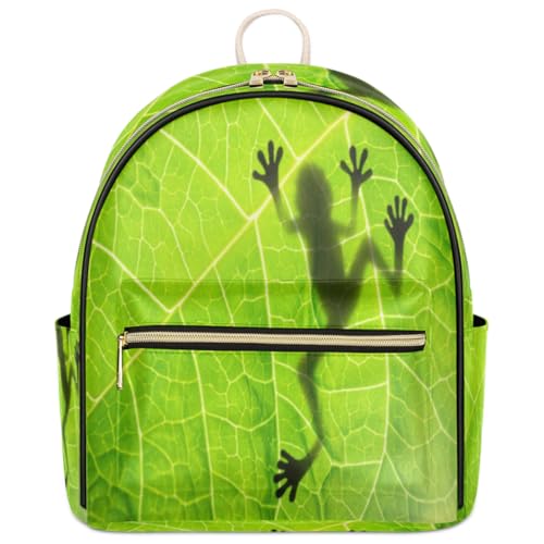Summer Frog Shadow Leaf