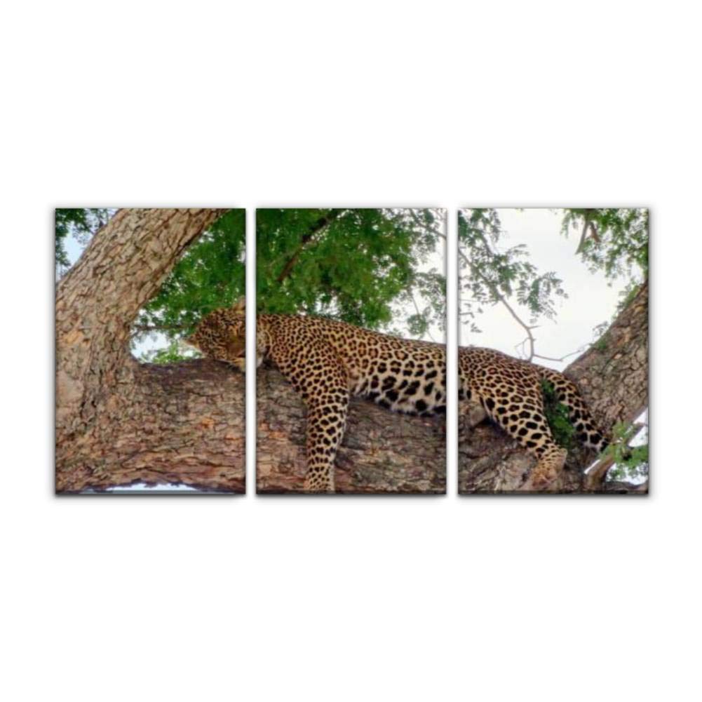 Gracelapin Modern Canvas Leopard Painting - Kenya & Tanzania Big Cats Wall Art Decor, Framed Oil Print for Home, Office, Bedroom (16x24 Inches, Set of 3) | Perfect for Safari Theme Rooms, Wildlife Lovers & African Decor